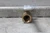 Apollo 70LF14601 1-1/4 In NPT Female Connection Manual Two-Way Ball Valve-61264945