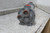 Standard Xchange SN503006024005 2 In Shell Pipe Connection Heat Exchanger-15026141