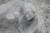 Nvent Erico 1080150EG 100 Pk 1-1/2 In Pipe Size Two-Hole Pipe Strap-59879487