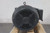 U.S. Motors 8D15P3C 15 HP 1185 RPM 460V 3-Phase General Purpose Motor-24228219