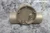 Gems Sensors RFI, 180392 3/4 In FNPT Connection Brass Body Flow Indicator-86879435