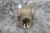 Gems Sensors RFI, 180392 3/4 In FNPT Connection Brass Body Flow Indicator-86879435