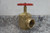 Dixon AV251 2-1/2 In Female NPT Inlet 300 Max PSI Angle Hose Valve-35053761