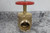 Dixon AV251 2-1/2 In Female NPT Inlet 300 Max PSI Angle Hose Valve-35053761