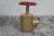 Dixon AV251 2-1/2 In Female NPT Inlet 300 Max PSI Angle Hose Valve-35053761