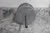 US Motors 7630UI 1/2, 1/3 HP 1250 RPM 277VAC ECM Direct Drive Blower Motor-13507704