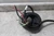 Little Giant IGP-M231-15 2 HP 3450 RPM 208-230VAC Sewage Grinder Pump-92955366