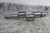 Brand Name 1940160 24mm Shaft Diameter Steel Crankshaft-74907133