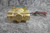 Redhat 8210G095 3/4 In NPTF Inlet/Outlet 24VAC Solenoid Valve-72836770
