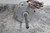 U.S. Motors 1891 1/3 HP 1625 RPM 208-230VAC 48Y Frame Condenser Fan Motor-28298952