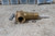 Cash Acme 18821-0150G 10 Pk 3/4 In Temperature and Pressure Relief Valve-35413947