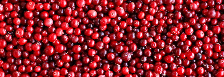 Know Your Nutrients: Cranberry