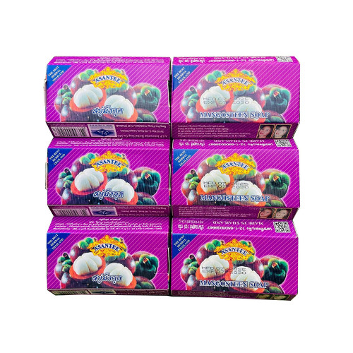Asantee Mangosteen Herbal Soap Bar (6-Pack) Natural Antioxidant Deep Cleansing