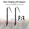 2014-2019 Toyota Highlander 2* Rear Tailgate Lift Support 6891009120 6891009130 Black Generic