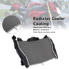 2015-2018 BMW S1000R Radiator Cooler Cooling Silver Generic