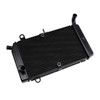 2002-2004 Honda Silverwing FSC400 Radiator Cooler Cooling Black Generic