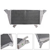 2021-2025 BMW M1000R/RR/XR Radiator Cooler Silver Generic