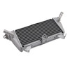 2021-2025 BMW M1000R/RR/XR Radiator Cooler Silver Generic