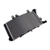 2019-2024 BMW F750GS F850GS F850GS Adventure Radiator Cooler Silver Generic