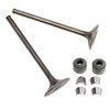 Intake Exhaust Valve Kit For Honda CLONE MOTORS CG 200cc ATV Quad Buggies