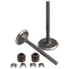 66mm Intake Exhaust Valve Kit For GY6 150cc Baotian Benzhou Rex Znen Lifan 125