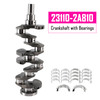 23110-2A810 Crankshaft with Bearings for Hyundai for Kia 1.7 D4FD Diesel