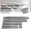 DRY CF Door Body Side Molding Trim Fit Benz G Class W464 W465 2019-2026