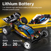 Wltoys 244016 2.4G 1:24 Scale 2WD High Speed Racing Off Road Remote Control Car
