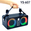 Wireless Bluetooth Speaker Dual Microphone Karaoke All-In-One Outdoor Portable