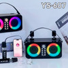 Wireless Bluetooth Speaker Dual Microphone Karaoke All-In-One Outdoor Portable