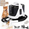 1700W Portable Carpet Cleaner Machine Dual-Water Tank 16Kpa Upholstery Cleaner