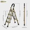 4 Step Ladder