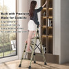 4 Step Ladder