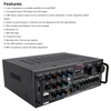 2500W Peak Stereo HiFi Power Amplifier Bluetooth5.4 Karaoke FM USB EQ Mixer 110V