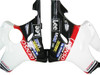 Fairings Honda CBR 600 F4i Multi-Color Honda Racing (2001-2003)