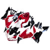 Amotopart Fairings Yamaha YZF-R1 Red Black Santander  Racing (2004-2006)
