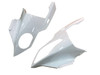 Amotopart Fairings BMW S1000RR Red SRR Racing (2009-2014)