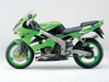 Fairings Plastics Kawasaki ZX6R 636 Green ZX6R Racing (2000-2002)