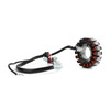 Magneto Generator Engine Stator Coil Fit for Yamaha YBR125ED/3D9 08-14