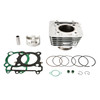 Cylinder Jug w/ New Piston & Top End Kit For Yamaha YFM 250 Raptor YFM250R 08-13