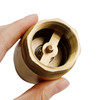 Brass Check Valve G1" M To F Thread Non-Return Backflow Prevention