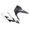 2013-2016 Triumph Daytona 675 Amotopart Fairing Kit Generic #102 