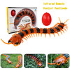 Remote Control Centipede Infrared Animal Electric Toy Kid Christmas Gift Black