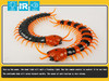 Remote Control Centipede Infrared Animal Electric Toy Kid Christmas Gift Black