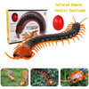 Remote Control Centipede Infrared Animal Electric Toy Kid Christmas Gift Green