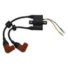 Ignition Coil fit for Yamaha 6HP F6 8HP F8 9.9HP F9.9 20HP 20C 25HP 680-85570
