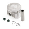 67mm Cylinder Piston Rings Gasket Kit 16mm For Italika Ex200 Rt200 / GP / Negra