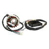 2024 Gas Gas ES 350 Magneto Coil Stator Voltage Regulator Gasket Assy 79239104000 Generic