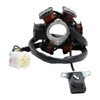 Beretta Turbo Quad 150 ATV Apollo Sano Predator 6 Poles Magneto Generator Stator 5-Wire ACC-2135200 Generic
