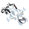 2013-2018 Kawasaki Z800 White Black Fairing Kit